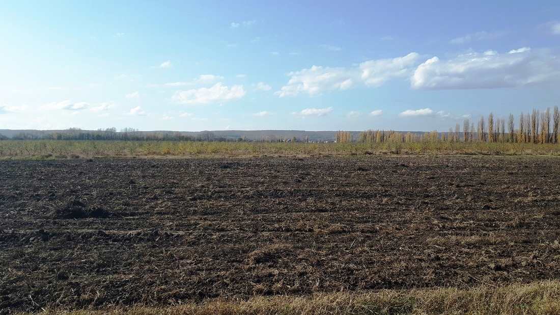 ПРОДАЖА СЕЛЬХОЗЗЕМЛИ 74 ГА, ЯБЛОНЕВЫЕ САДЫ, ФЕРМА