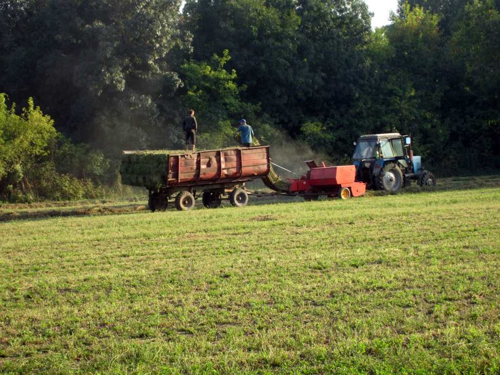 ПРОДАЖА СЕЛЬХОЗЗЕМЛИ 160 ГА, ЯБЛОНЕВЫЕ, СЛИВОВЫЕ САДЫ, ФЕРМА В АДЫГЕЕ
