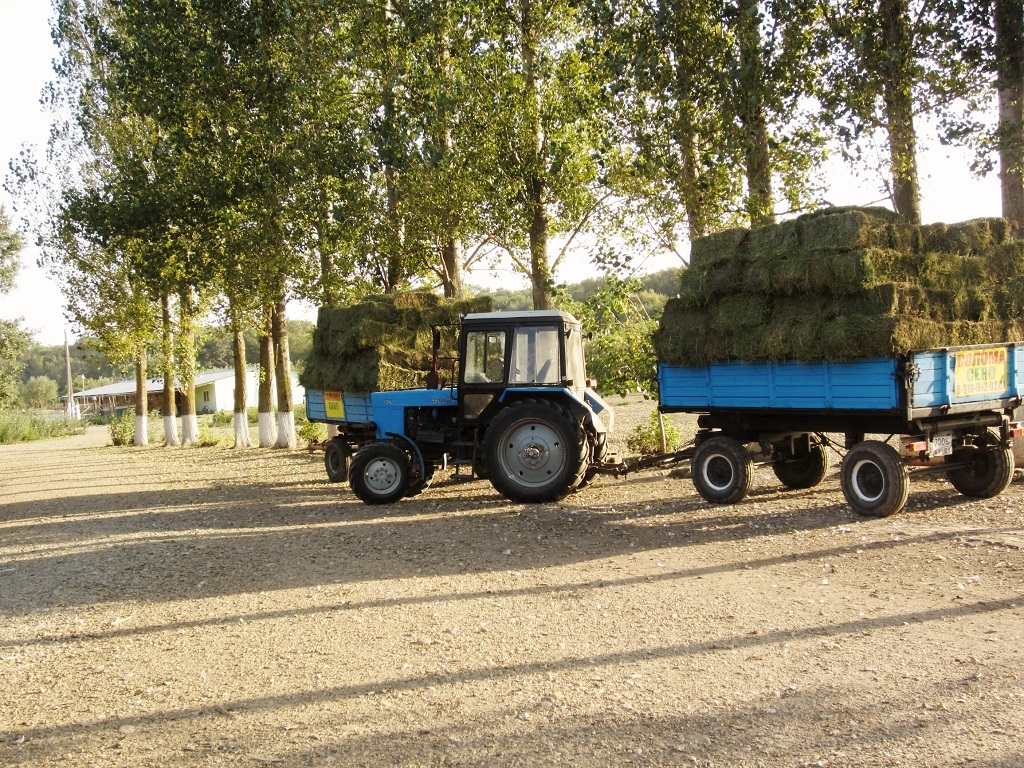 ПРОДАЖА СЕЛЬХОЗЗЕМЛИ 160 ГА, ЯБЛОНЕВЫЕ, СЛИВОВЫЕ САДЫ, ФЕРМА В АДЫГЕЕ