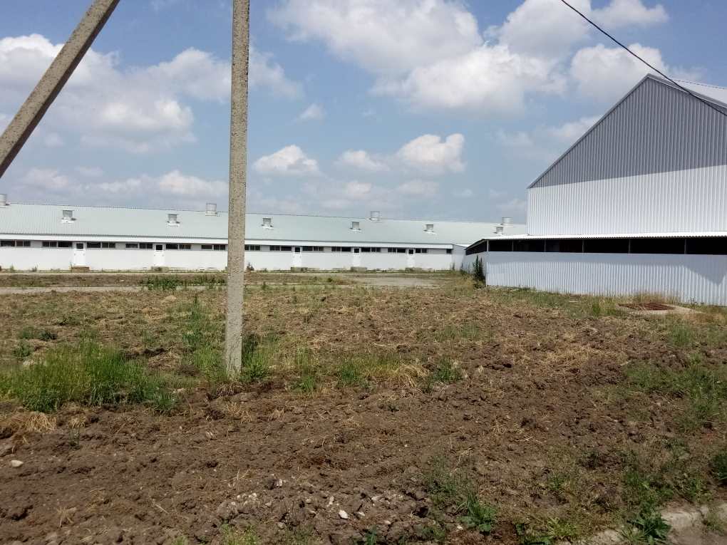 ПРОДАЖА ФЕРМЫ КРС, СВИНОКОМПЛЕКСЫ, СВИНОФЕРМЫ, ЖИВОТНОВОДЧЕСКИЕ ХОЗЯЙСТВА В КРАСНОДАРСКОМ КРАЕ