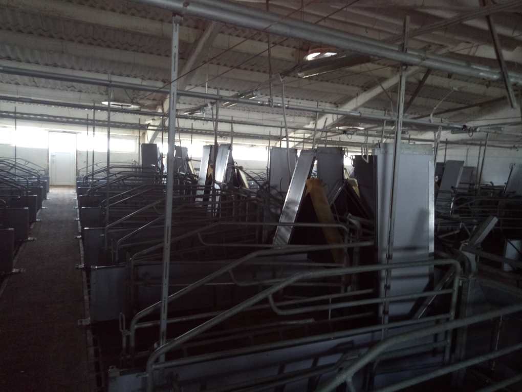 ПРОДАЖА ФЕРМЫ КРС, СВИНОКОМПЛЕКСЫ, СВИНОФЕРМЫ, ЖИВОТНОВОДЧЕСКИЕ ХОЗЯЙСТВА В КРАСНОДАРСКОМ КРАЕ