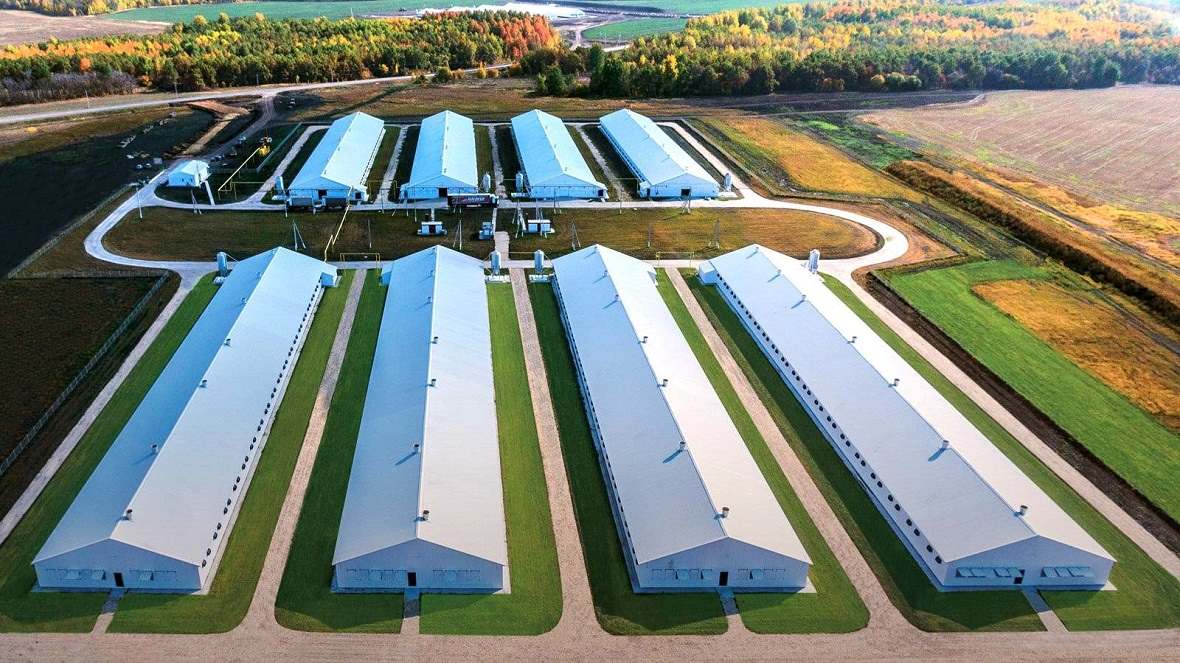  ,  60 . ,   , ,    , FOR SALE AGROHOLDING, AGRICULTURAL LAND 60 THOUSAND GA, CATTLE FARMS, MEAT PRODUCTION, MILK PRODUCTION IN RUSSIA