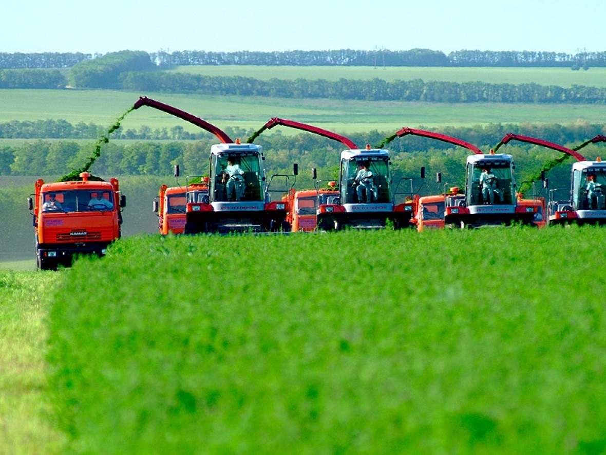 ,  60 . ,   , ,    , FOR SALE AGROHOLDING, AGRICULTURAL LAND 60 THOUSAND GA, CATTLE FARMS, MEAT PRODUCTION, MILK PRODUCTION IN RUSSIA