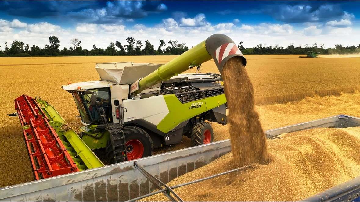  ,  60 . ,   , ,    , FOR SALE AGROHOLDING, AGRICULTURAL LAND 60 THOUSAND GA, CATTLE FARMS, MEAT PRODUCTION, MILK PRODUCTION IN RUSSIA