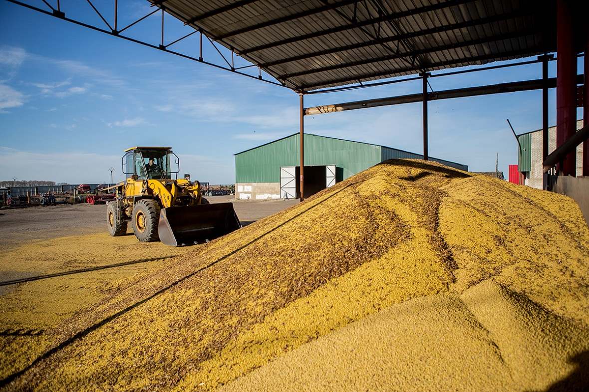  ,  60 . ,   , ,    , FOR SALE AGROHOLDING, AGRICULTURAL LAND 60 THOUSAND GA, CATTLE FARMS, MEAT PRODUCTION, MILK PRODUCTION IN RUSSIA