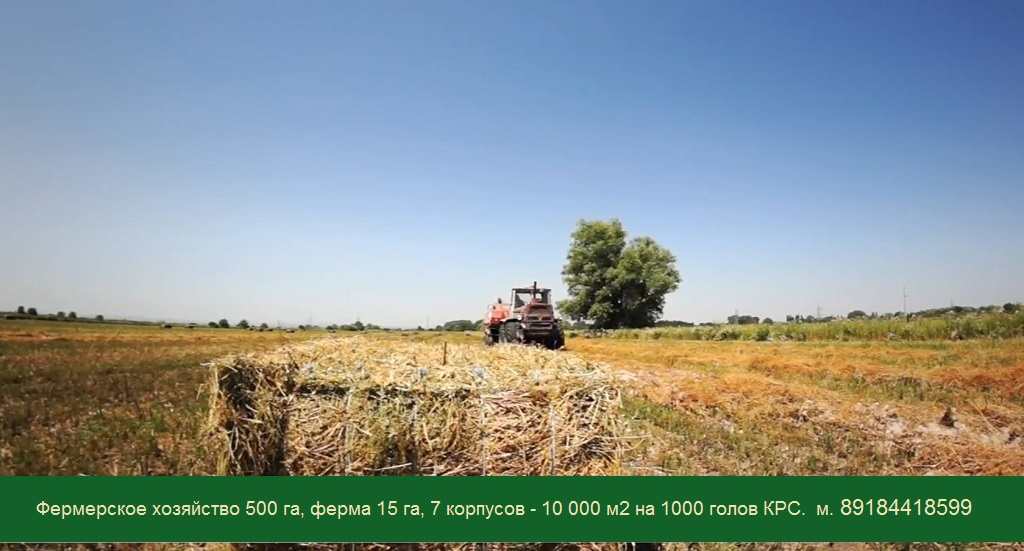 Фермерское хозяйство нива