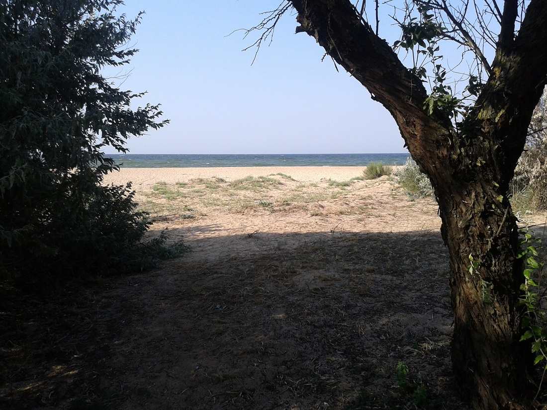 Земельный участок площадью 1,6 гектара на побережье моря